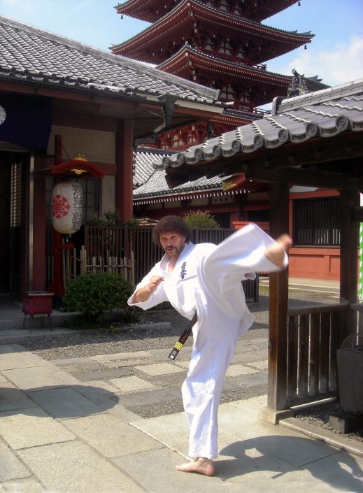 کیوکوشین کاراته - سایت هنرهای رزمی