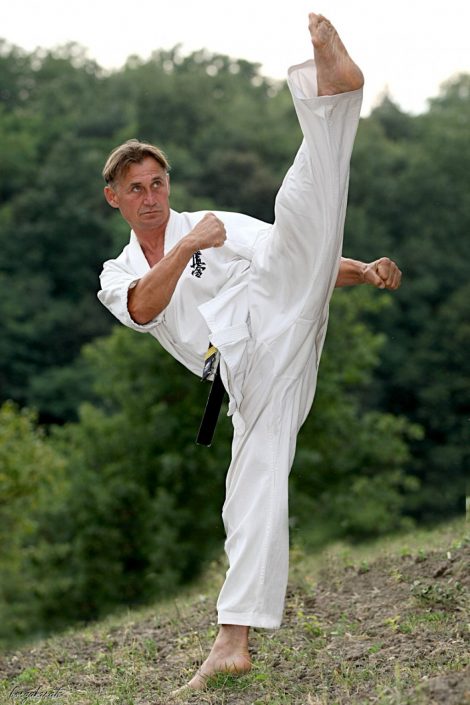 کیوکوشین کاراته - سایت هنرهای رزمی